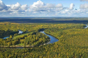 Największe równiny w rosji: imiona, mapa, granice, klimat i zdjęcie Największe równiny w rosji: imiona, mapa, granice, klimat i zdjęcie